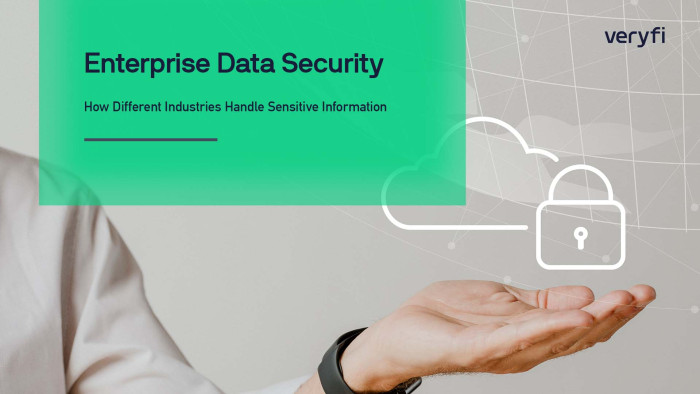 Enterprise Data Security: How Different Industries Handle Sensitive Information