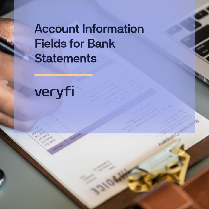 Bank Statements ►Account Information Fields