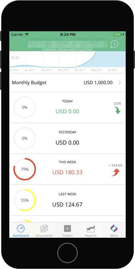 Budget 101 from the Veryfi Dashboard