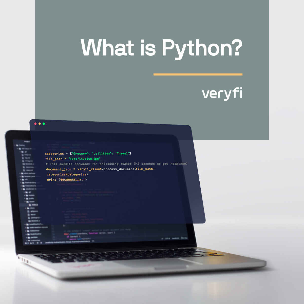 What is Python?